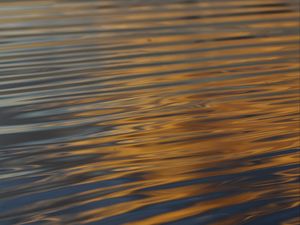 Preview wallpaper waves, ripples, water, surface, reflection