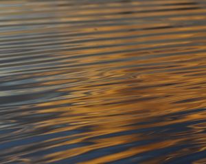 Preview wallpaper waves, ripples, water, surface, reflection