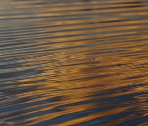 Preview wallpaper waves, ripples, water, surface, reflection