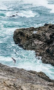 Preview wallpaper waves, rocks, seagull, bird, sea