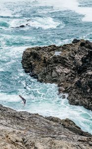 Preview wallpaper waves, rocks, seagull, bird, sea