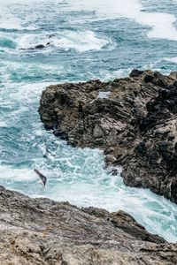 Preview wallpaper waves, rocks, seagull, bird, sea