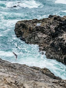 Preview wallpaper waves, rocks, seagull, bird, sea