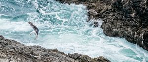 Preview wallpaper waves, rocks, seagull, bird, sea