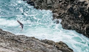 Preview wallpaper waves, rocks, seagull, bird, sea