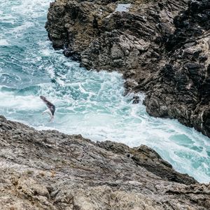 Preview wallpaper waves, rocks, seagull, bird, sea