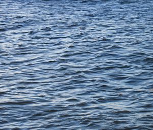 Preview wallpaper waves, sea, ripples, glare, water