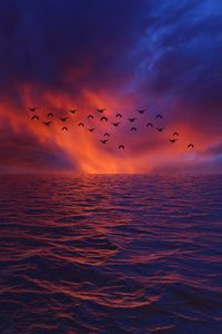 Preview wallpaper waves, sky, birds, horizon, sunset, sea, clouds, flock