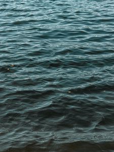 Preview wallpaper waves, water, ripples, wavy