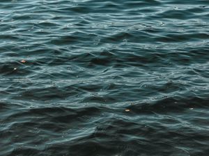 Preview wallpaper waves, water, ripples, wavy