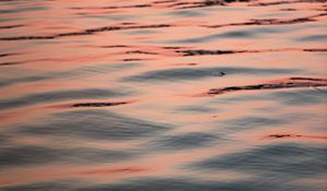 Preview wallpaper waves, water, ripples, surface, reflection