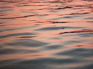 Preview wallpaper waves, water, ripples, surface, reflection