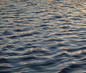 Preview wallpaper waves, water, surface, ripples