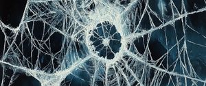 Preview wallpaper web, art, blue, white