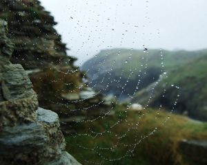 Preview wallpaper web, drops, dew, stones