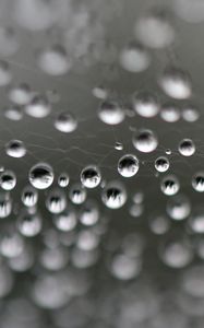 Preview wallpaper web, drops, highlights, macro, blur