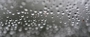 Preview wallpaper web, drops, highlights, macro, blur