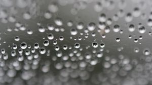 Preview wallpaper web, drops, highlights, macro, blur