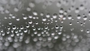 Preview wallpaper web, drops, highlights, macro, blur