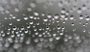 Preview wallpaper web, drops, highlights, macro, blur