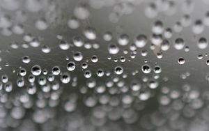 Preview wallpaper web, drops, highlights, macro, blur
