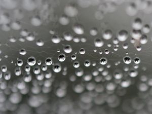 Preview wallpaper web, drops, highlights, macro, blur