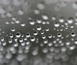 Preview wallpaper web, drops, highlights, macro, blur