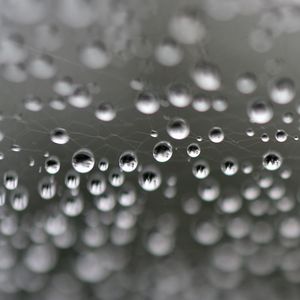 Preview wallpaper web, drops, highlights, macro, blur