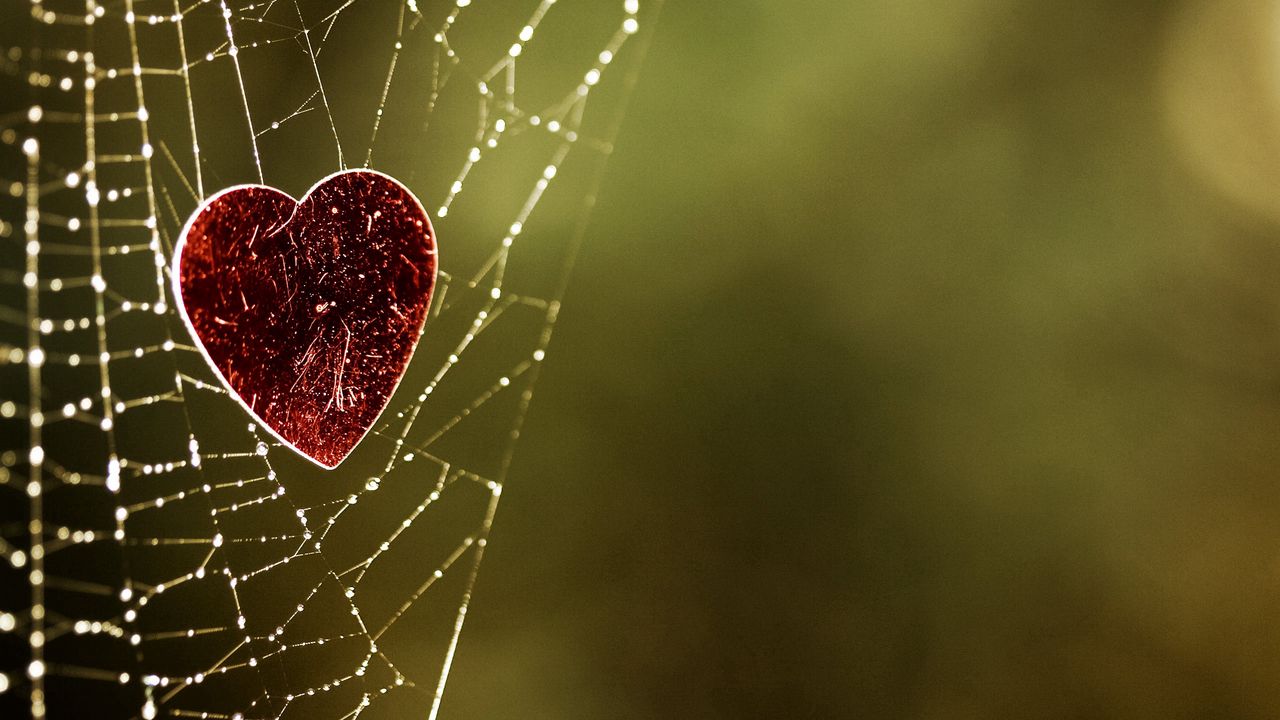 Wallpaper web, heart, background, blurred