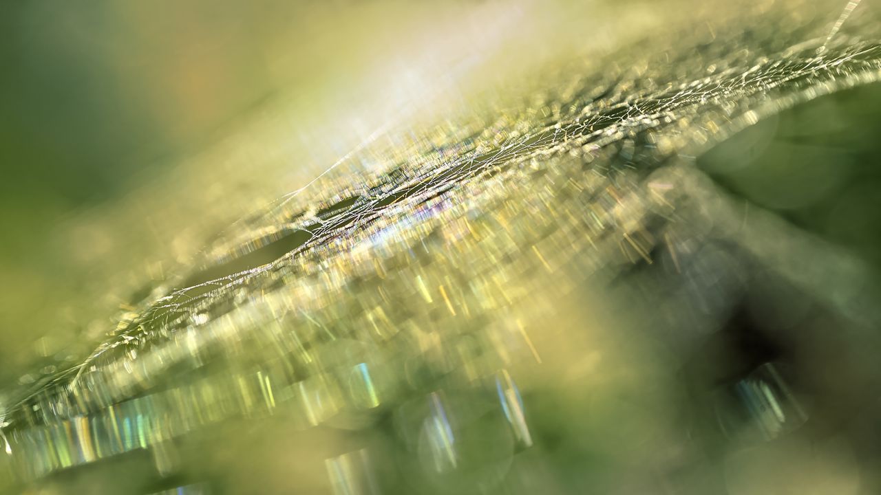 Wallpaper web, light, macro, glare, blur