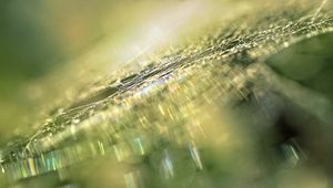 Preview wallpaper web, light, macro, glare, blur