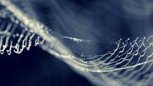 Preview wallpaper web, light, shape, bend