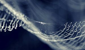 Preview wallpaper web, light, shape, bend