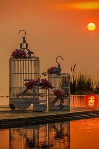 Preview wallpaper wedding, cell, love, sunset, swimming pool, bouquets