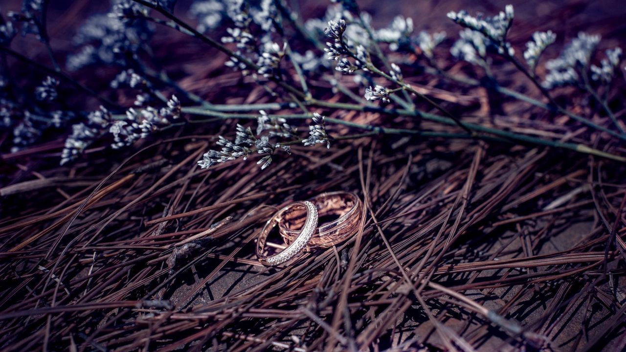 Wallpaper wedding rings, branches, flowers, gold