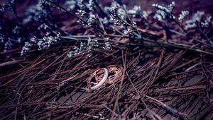 Preview wallpaper wedding rings, branches, flowers, gold