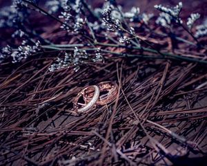 Preview wallpaper wedding rings, branches, flowers, gold