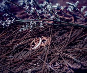 Preview wallpaper wedding rings, branches, flowers, gold