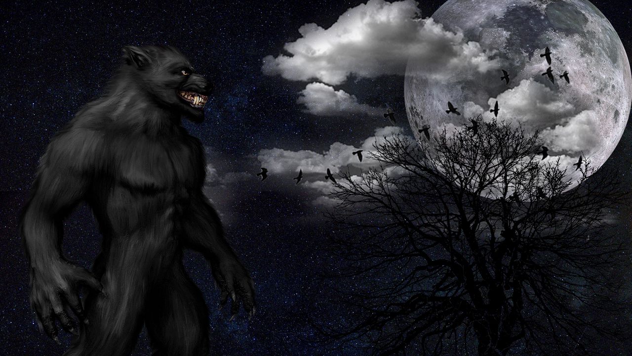 Wallpaper werewolf, monster, grin, starry sky, full moon, night