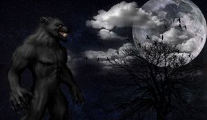 Preview wallpaper werewolf, monster, grin, starry sky, full moon, night