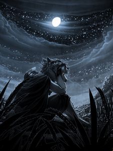 Preview wallpaper werewolf, night, art, moon, moonlight