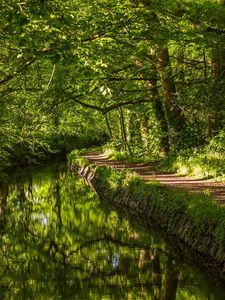 Preview wallpaper west devon, england, river, trail, forest