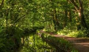 Preview wallpaper west devon, england, river, trail, forest