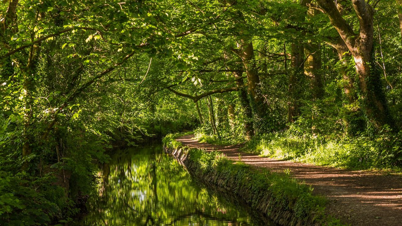 Wallpaper west devon, england, river, trail, forest hd, picture, image