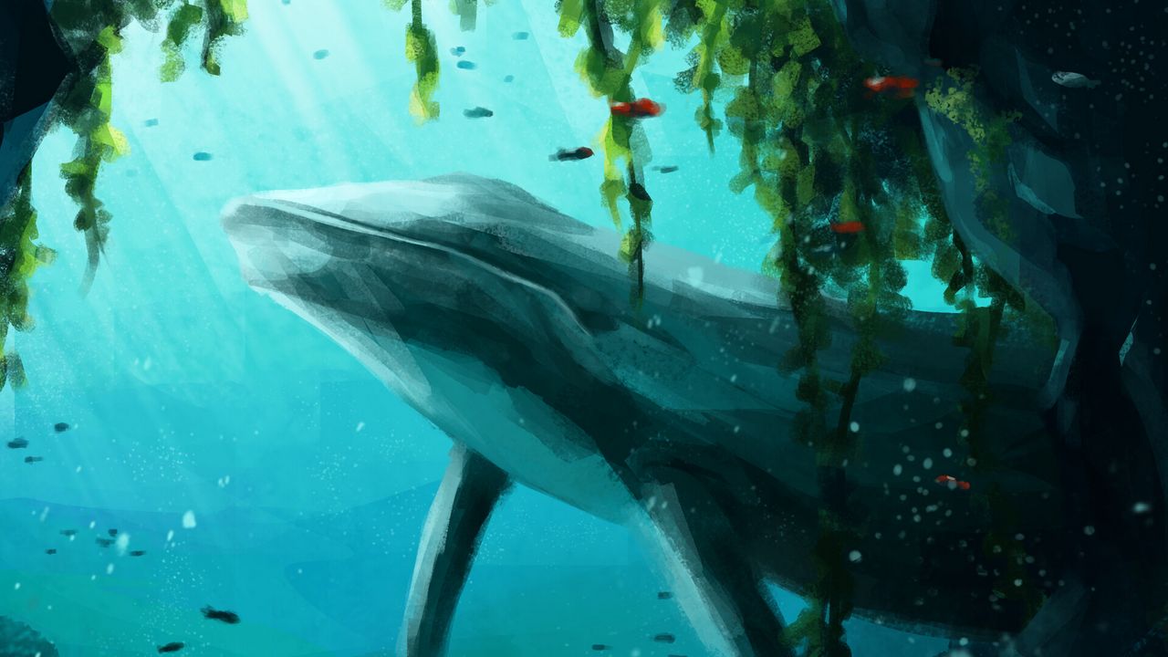 Wallpaper whale, animal, underwater, water, fish, art