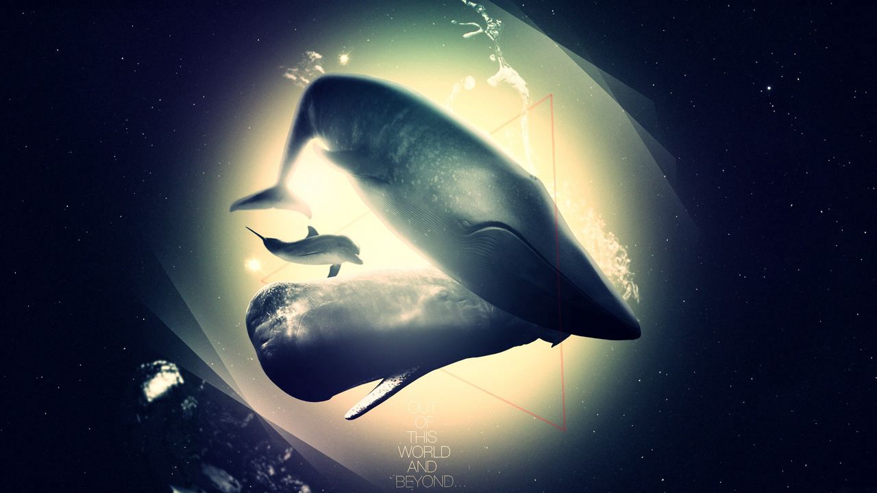 Wallpaper whale, dolphin, deep, light, shadow