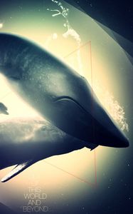 Preview wallpaper whale, dolphin, deep, light, shadow
