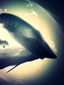 Preview wallpaper whale, dolphin, deep, light, shadow