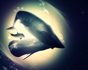 Preview wallpaper whale, dolphin, deep, light, shadow