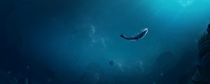 Preview wallpaper whale, ocean, underwater world, air bubbles, bottom, rays of light